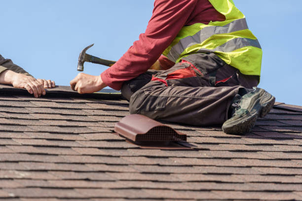 Best Roof Gutter Cleaning  in Freeport, IL