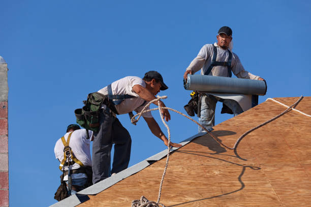 Best Local Roofing Companies  in Freeport, IL