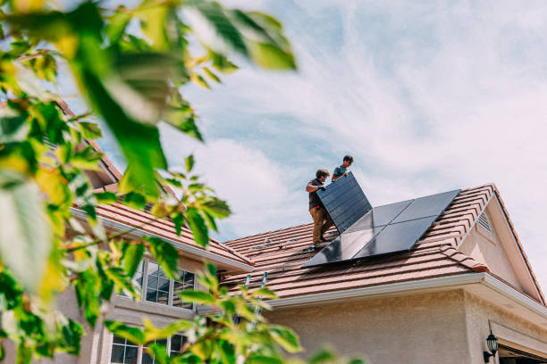 Best Roof Gutter Cleaning  in Freeport, IL