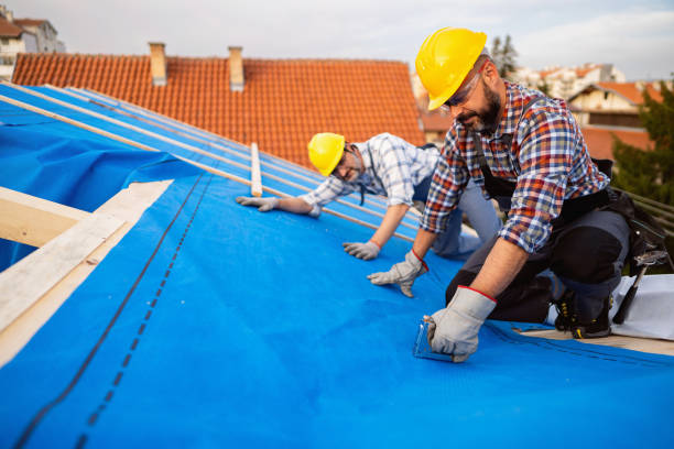 Best Commercial Roof Installation  in Freeport, IL
