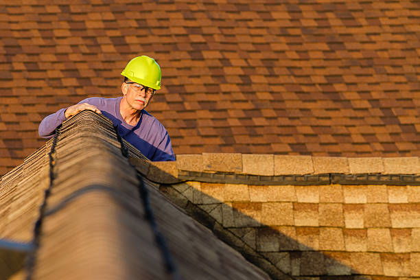 Roof Gutter Cleaning in Freeport, IL
