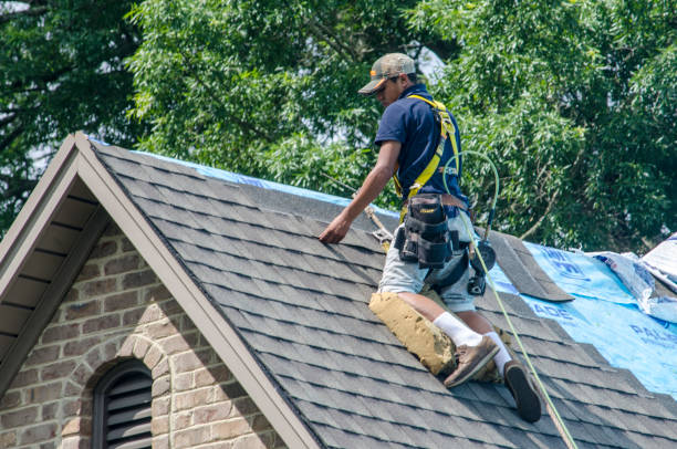 Best Commercial Roofing Services  in Freeport, IL